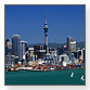 Sprachschulen in Auckland