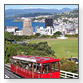 Sprachschulen in Wellington